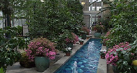 United States Botanic Garden